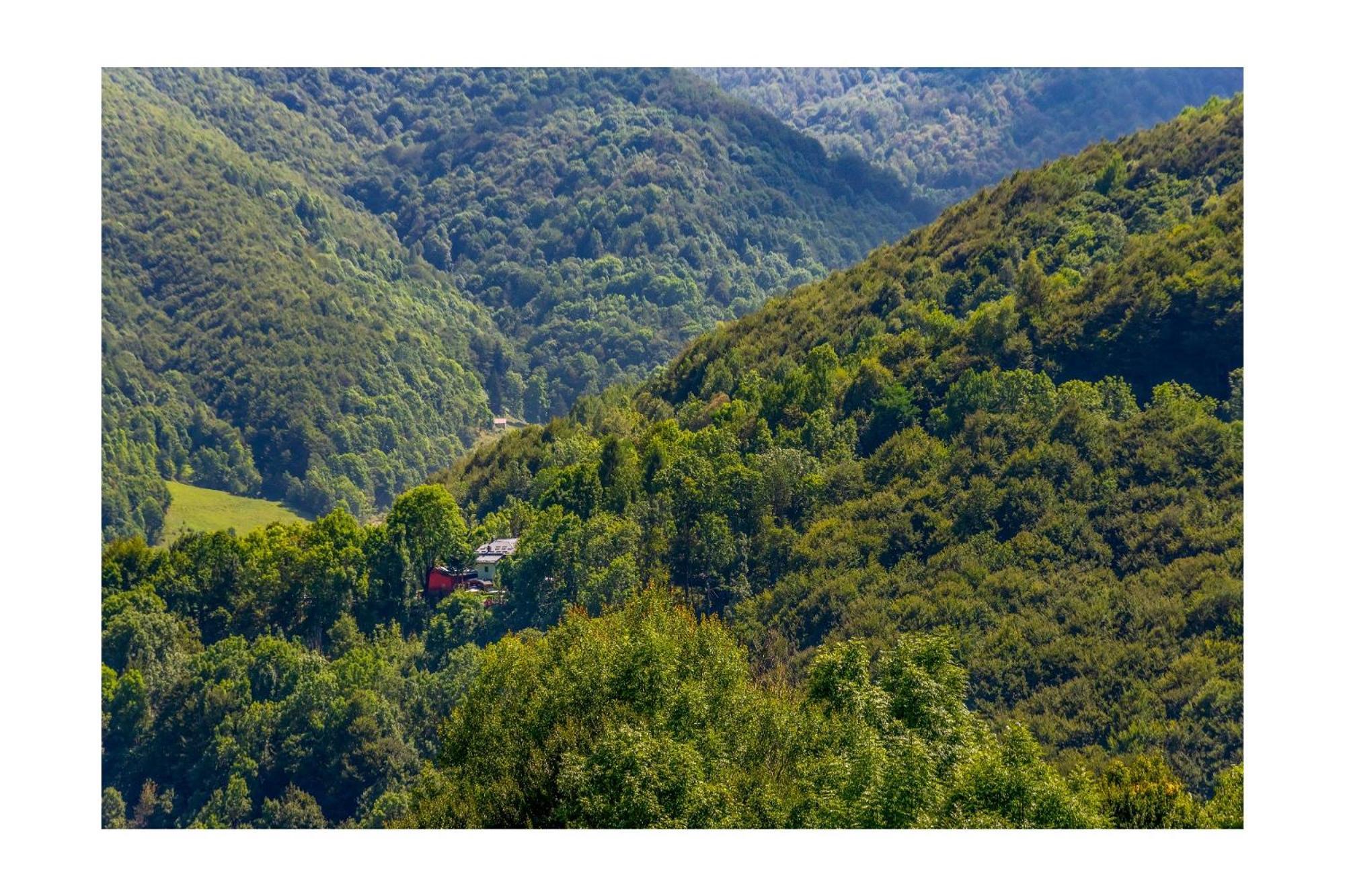 Chalet Bragard Limone Piemonte Exterior photo